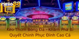 Keo Thom Bong A Kham Pha Bi Quyet Chinh Phuc Inh Cao Ca Cuoc Tai Hello88
