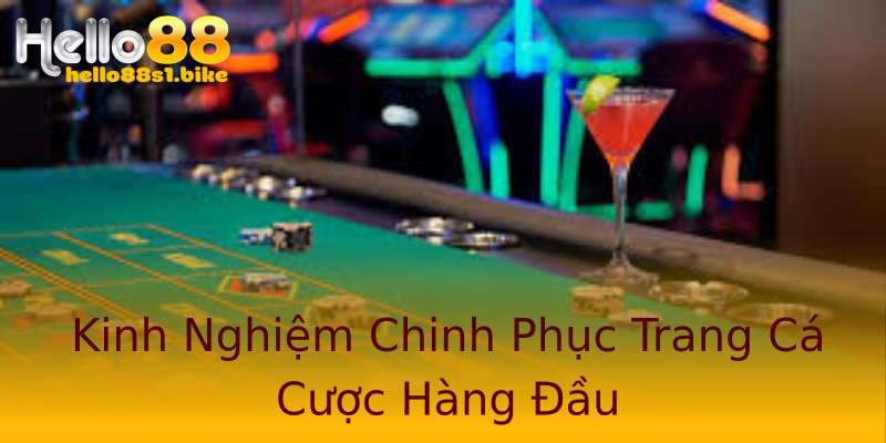 Kinh Nghiệm Chinh Phục Trang Cá Cược Hàng Đầu Kinh Nghiệm Chinh Phục Trang Cá Cược Hàng Đầu