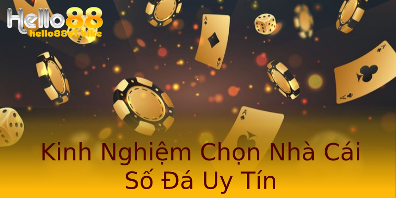 Kinh Nghiệm Chọn Nhà Cái Số Đá Uy Tín