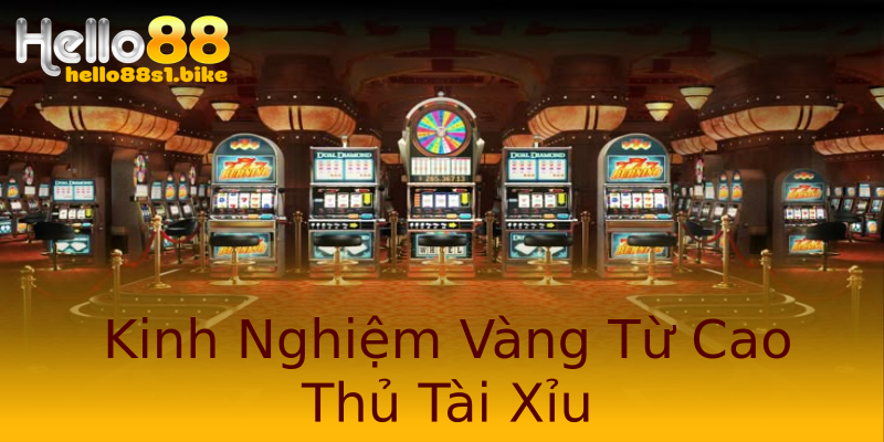 Kinh Nghiệm Vàng Từ Cao Thủ Tài Xỉu Kinh Nghiệm Vàng Từ Cao Thủ Tài Xỉu