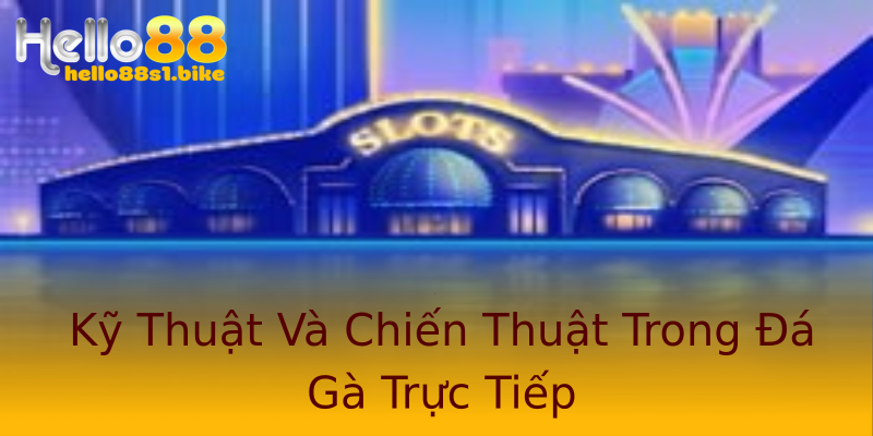 Kỹ Thuật Và Chiến Thuật Trong Đá Gà Trực Tiếp Kỹ Thuật Và Chiến Thuật Trong Đá Gà Trực Tiếp