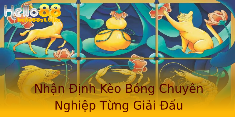 Nhận Định Kèo Bóng Chuyên Nghiệp Từng Giải Đấu Nhận Định Kèo Bóng Chuyên Nghiệp Từng Giải Đấu