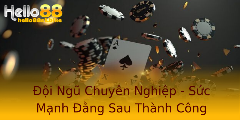 Đội Ngũ Chuyên Nghiệp - Sức Mạnh Đằng Sau Thành Công Đội Ngũ Chuyên Nghiệp - Sức Mạnh Đằng Sau Thành Công