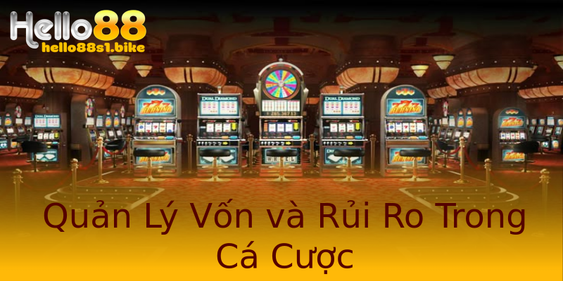 Quản Lý Vốn và Rủi Ro Trong Cá Cược