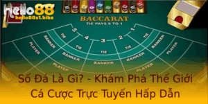 So A La Gi Kham Pha The Gioi Ca Cuoc Truc Tuyen Hap Dan 1