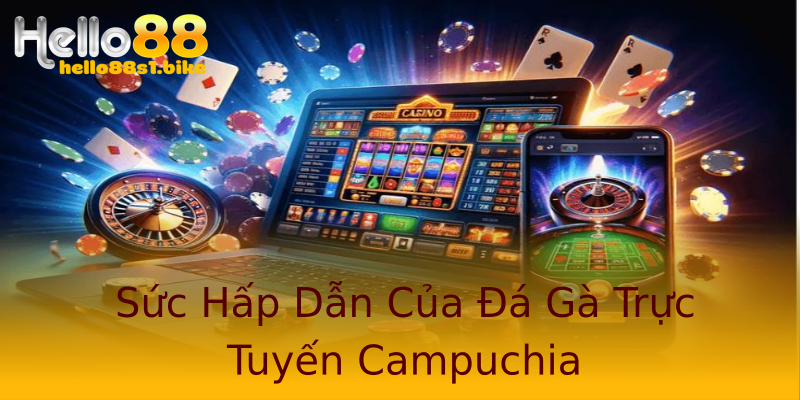 Sức Hấp Dẫn Của Đá Gà Trực Tuyến Campuchia Sức Hấp Dẫn Của Đá Gà Trực Tuyến Campuchia
