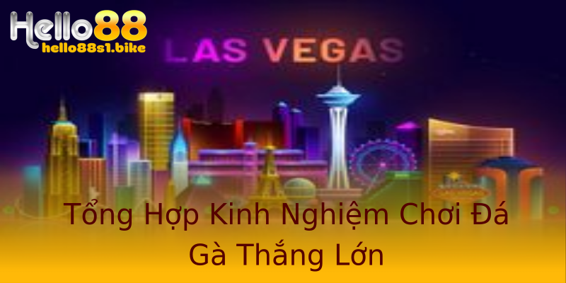 Tổng Hợp Kinh Nghiệm Chơi Đá Gà Thắng Lớn Tổng Hợp Kinh Nghiệm Chơi Đá Gà Thắng Lớn